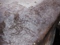 68767-87608