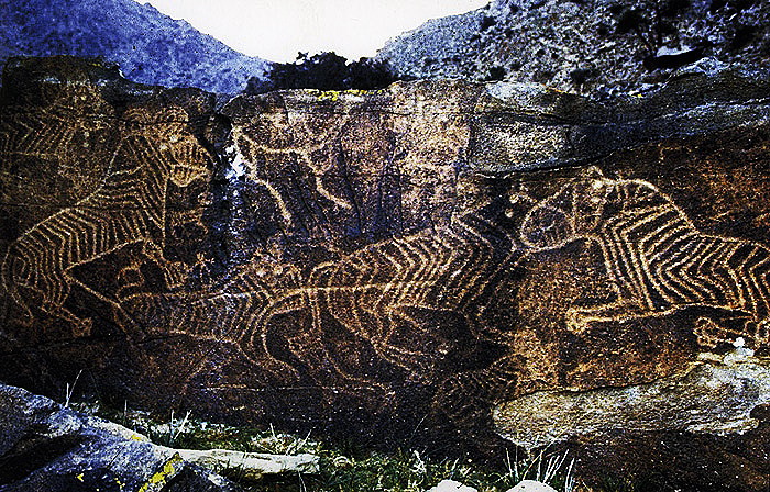  China.org.cn The Rock Paintings of Yinshan Mountains_
