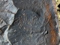 Fig.-14.41