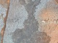 Fig.-14.68