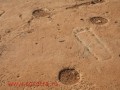 mel_110