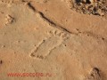Eriosh is located on Soqotra’s north Yemen