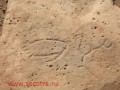 mel_114