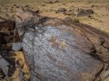 Khavtsgait Petroglyphs-20