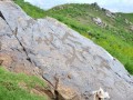 beldersay-petroglyphs6