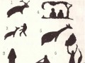 Цюньли_петроглифы