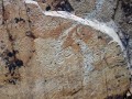Wong Chuk Hang Rock Engravings