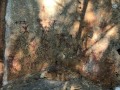 3303042300
