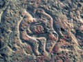 Копия Северная Сарыарка. Оленты