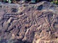 Северная Сарыарка. Оленты