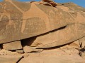 petroglyphs Jubbah6