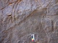 Jabal-Raat-dated-Neolithic-caprid-petroglyph