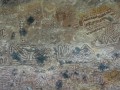 Rock Art in Chhattisgarh