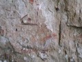 Rock-art-shelter-of-Rajbahal-Ushakuthi5