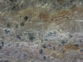 Ushakoti , Krmagdh the Shailcitr. Предоставлено- Рохит Раджак