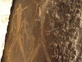 history-gallery-27
