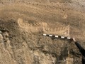 history-gallery-29