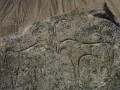 history-gallery-46