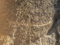 history-gallery-30