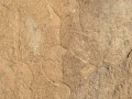 history-gallery-25
