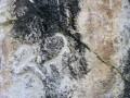 23423042-02