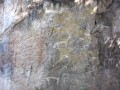 hodjikent-petroglyphs2