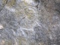 hodjikent-petroglyphs3_advantour.com