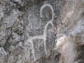hodjikent-petroglyphs1