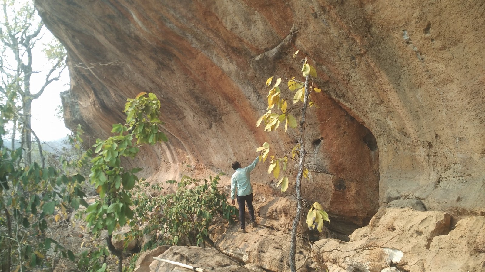 Bomma Loddi - Rock Paintings - Narsapur Bhupalpally (10)