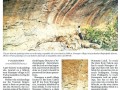 Bomma Loddi - Rock Paintings - Narsapur Bhupalpally (15)