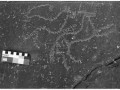petroglyphs of the Kajou Valley, Makran, Iran6