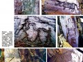 кулжабасы