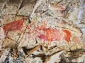 Jinsha River Rock Art