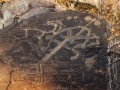 6745905904-1