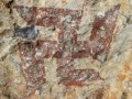 TibetSwastika