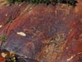 Petroglyphs Kuruksai is located in the Altyn-Topkan ridge, the western part of the Kuraminsky ridge, in the Matchinsky district of the Sogd region