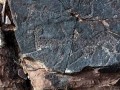 87680780--50