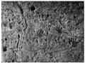 hand petroglyphs of Karaftou Cave