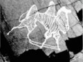 9879689-68