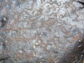 3403403-43034