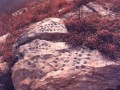Mt Juci-02