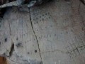 panel with round cupules, square ‘cupules’ and the chessboard-like designs, from Mt Juci