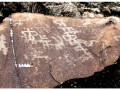 Qorwa
