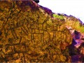 Petroglyphs at Gorakh Nath Astan