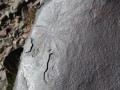 Javkhlant Mountain-