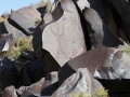 Javkhlant Mountain-6