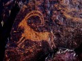Bazar-Dara-petroglyphs