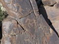 95955-000