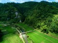 rock-buddha-field