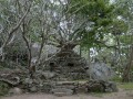 Sasseruwa-Buddha-011